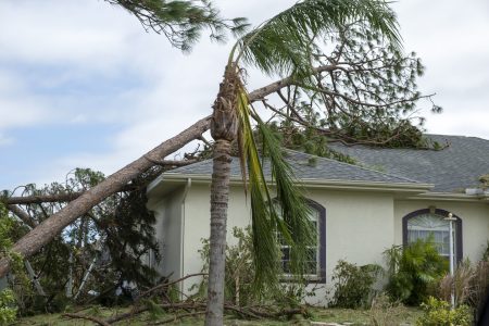 Damage to Florida house roof from uprooted tree after hurricane. Insurance claim on destroyed home. Aftermath of natural disaster concept.